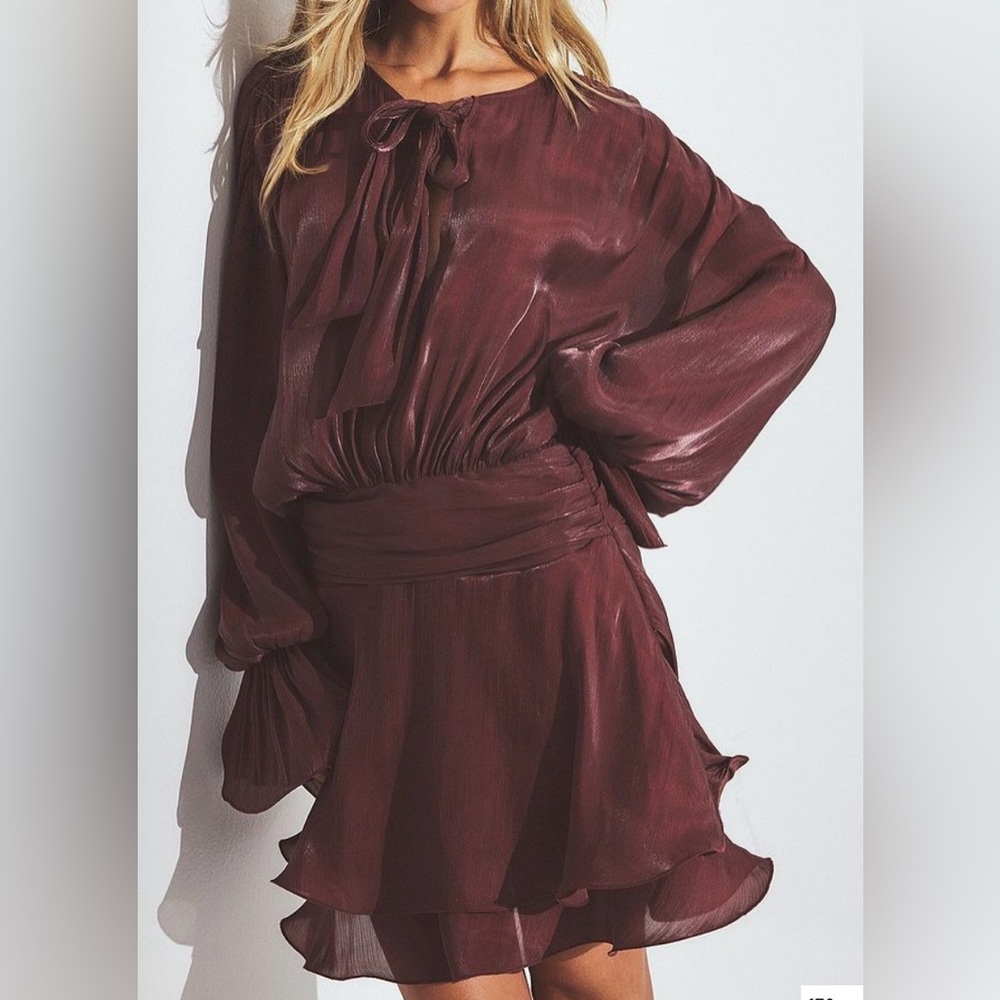 Na-Kd Ruched Waist Ruffle Mini Dress - Burgundy